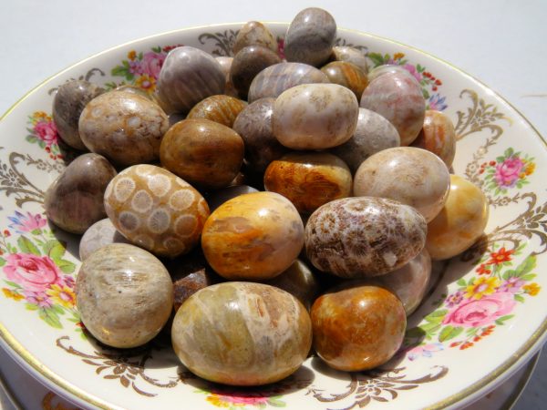 Polished brown and white stones in a dish.