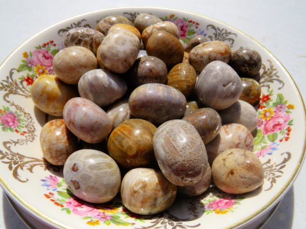 Polished stones in a floral dish.