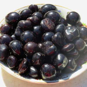 Black gemstones in a porcelain bowl.