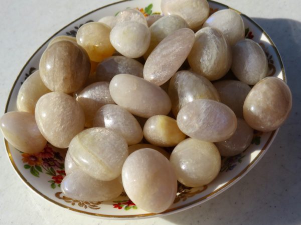 A plate of smooth, white stones.