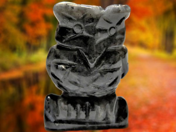 Black owl figurine against fall foliage.