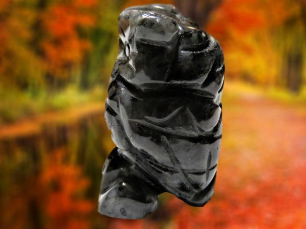 Black obsidian owl carving on fall background.