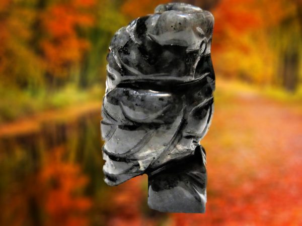 Black obsidian carved into a head.