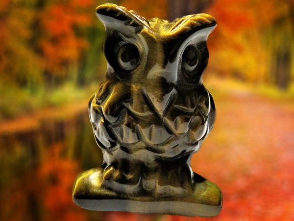 Tiger's eye owl figurine on fall leaves.