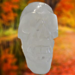 White skull figurine against autumn leaves.