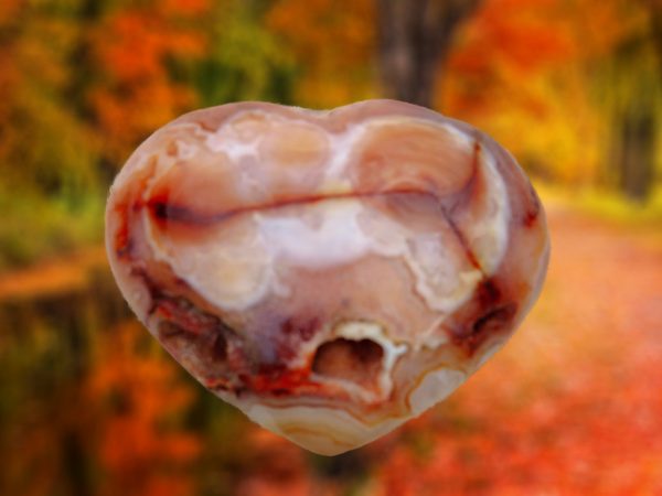 Heart shaped agate stone on autumn leaves.