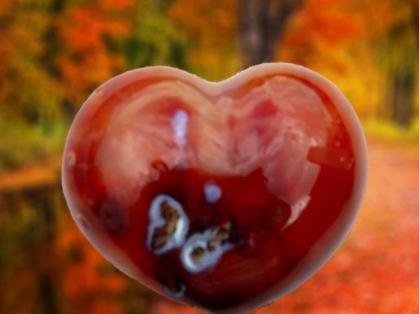 Red heart shaped carnelian stone.
