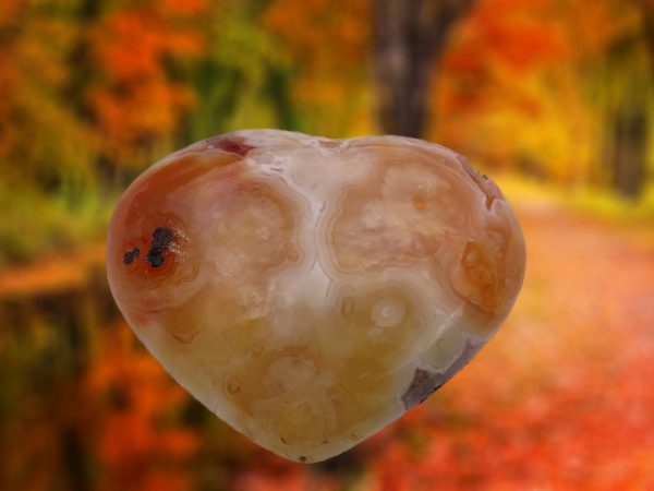 Heart-shaped agate with white and brown bands.
