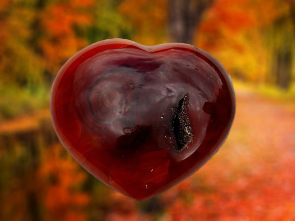 Red heart-shaped carnelian gemstone.
