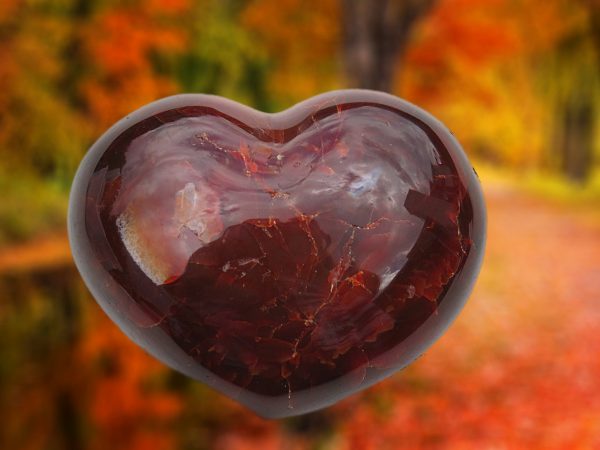 Red heart-shaped gemstone against fall foliage.