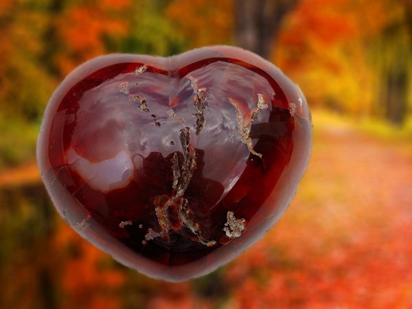 Red heart-shaped agate with white veins.