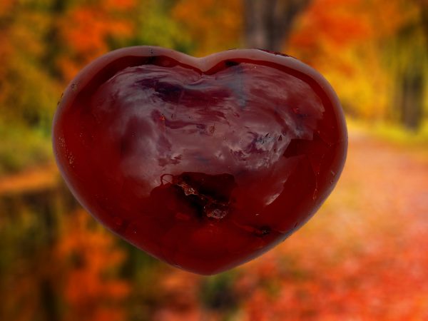 Red heart-shaped carnelian gemstone.