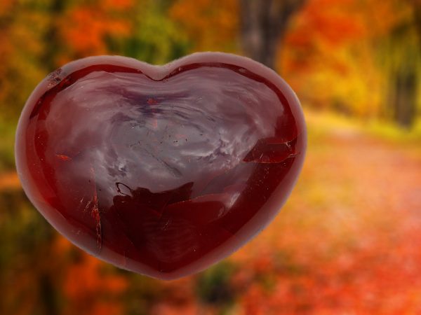 Red heart-shaped gemstone on autumn background.