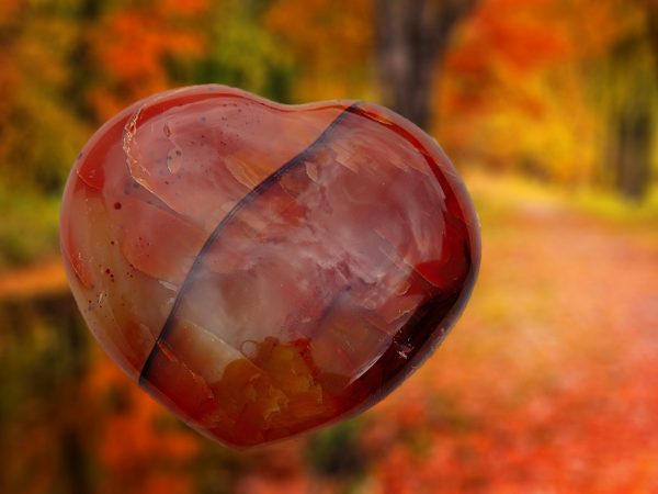 Heart-shaped carnelian stone on autumn background.