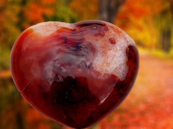 Red heart shaped carnelian stone.