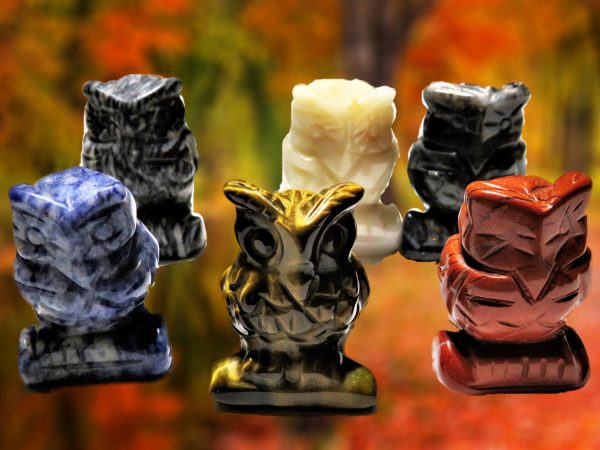 Six colorful owl figurines on fall foliage.