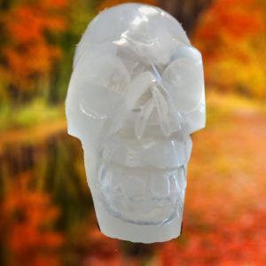 White carved skull against autumn foliage.