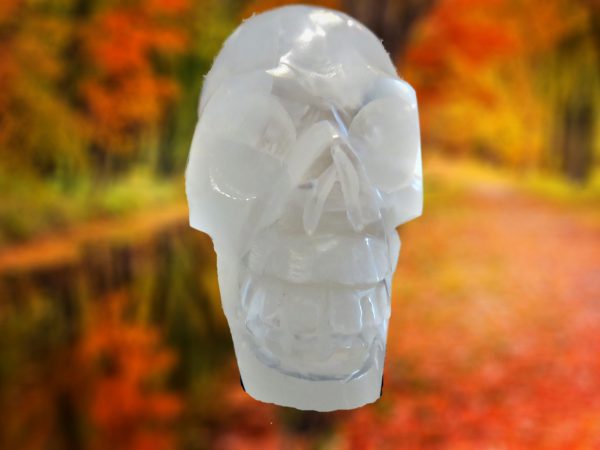 White carved skull against autumn foliage.