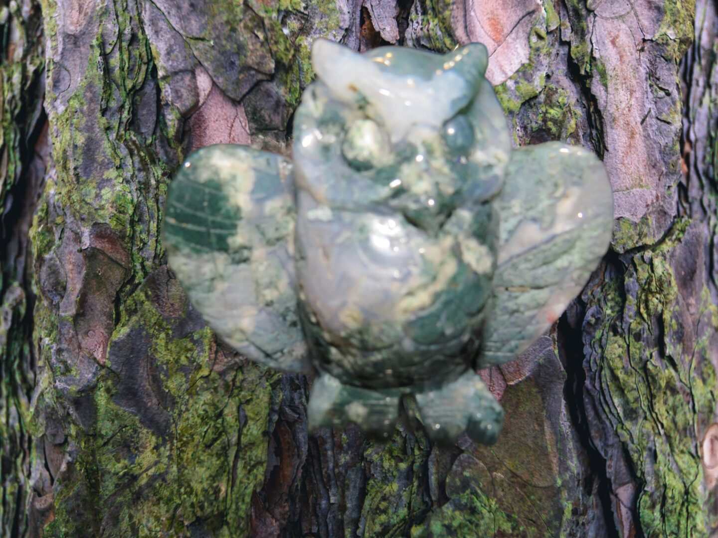 A green and white owl on a tree.